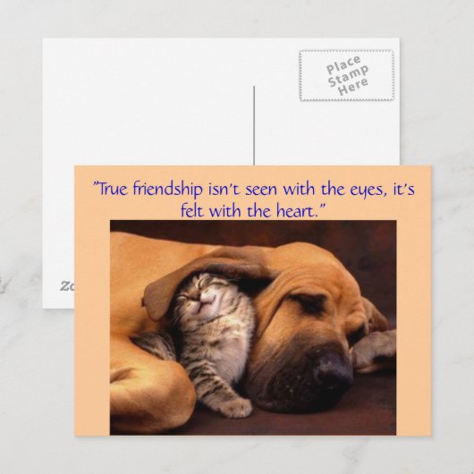 「真の友情… ポストカード (正面/裏面)