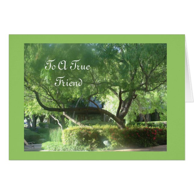 真の友 (正面横)