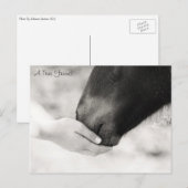 真の友 ポストカード (正面/裏面)