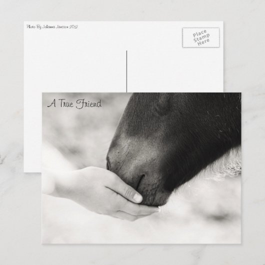 真の友 ポストカード (正面/裏面)