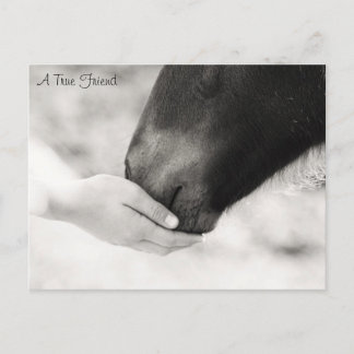 真の友 ポストカード