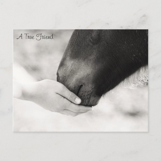 真の友 ポストカード (正面)
