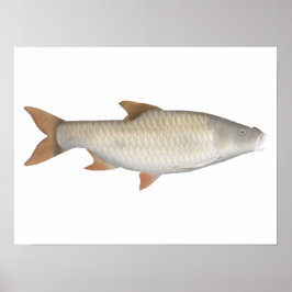 真の大規模なテトラポスター ポスター