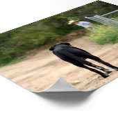 真の愛が待つ ポスター (角)