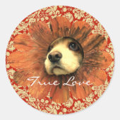 真の愛のステッカー子犬が花からのぞく ラウンドシール (正面)