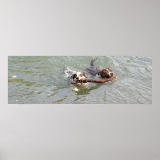 真の愛 ポスター