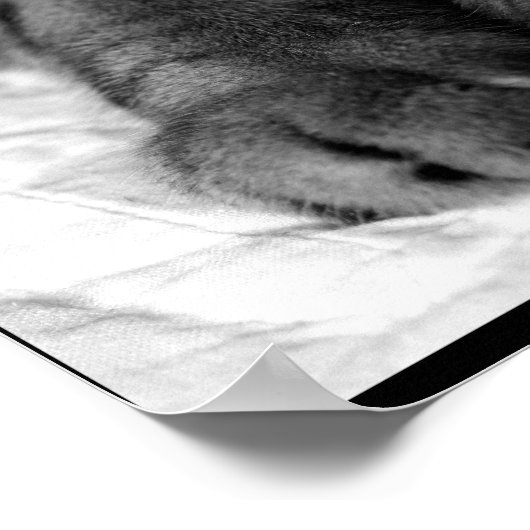 真の愛 ポスター (角)