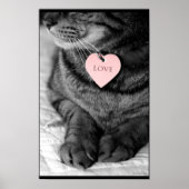 真の愛 ポスター (正面)