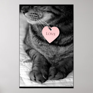 真の愛 ポスター