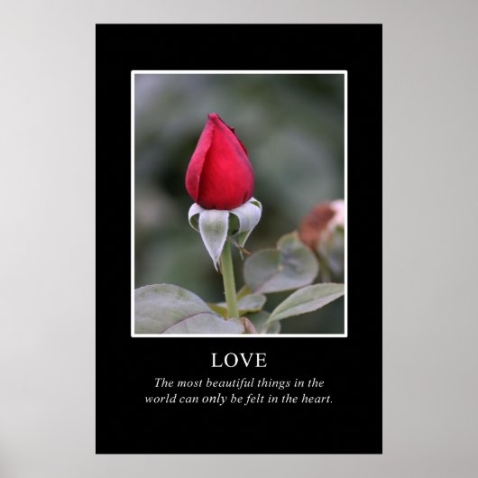 真の美しいを知っているのはハートだけだ ポスター (正面)