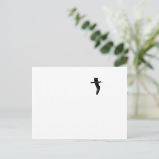 真の自由 ポストカード (スタンド正面)