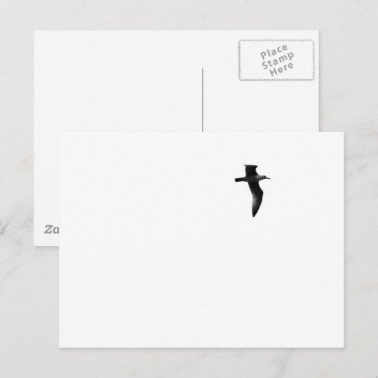 真の自由 ポストカード (正面/裏面)