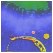 真の超越的 ファブリック (クローズアップ)