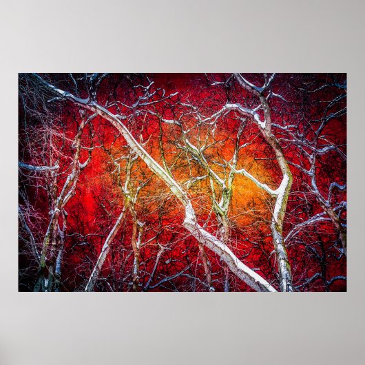 真冬の夜 ポスター (正面)