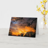 真冬の日没-挨拶状 カード (黄色い花)