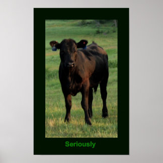 真剣なポスター ポスター