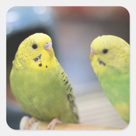 真剣な態度 スクエアシール (正面)