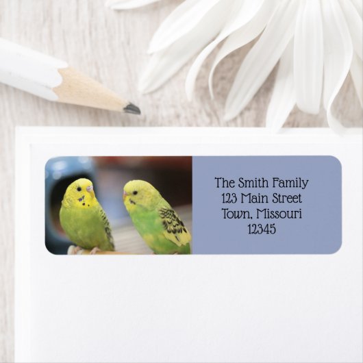 真剣な態度 ラベル (インサイチュ)