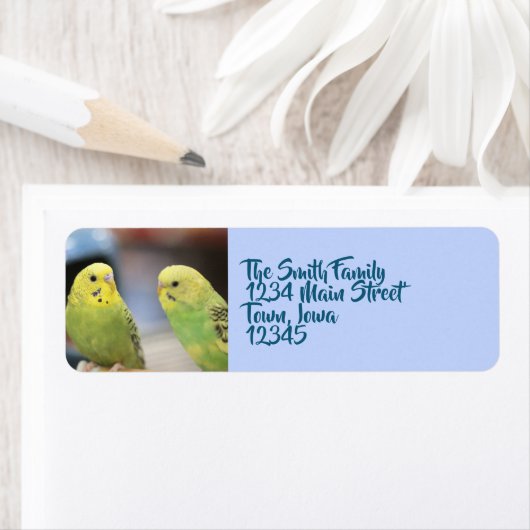 真剣な態度 ラベル (インサイチュ)