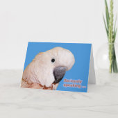 真剣に誕生日を話すこと カード (正面)