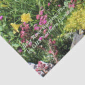 真夏のカラフル庭園！ 薄葉紙 (詳細)