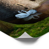 真夏の夜の夢 ポスター (角)