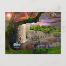 真夏の夜の夢。 ポストカード