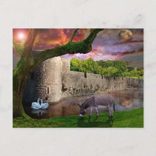 真夏の夜の夢。 ポストカード (正面)