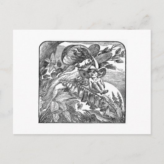 真夏の夜の夢 ポストカード (正面)