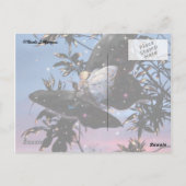 真夏の大晦日！ ポストカード (裏面)