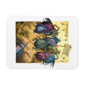 真夏を祝っているカブトムシ マグネット (横)