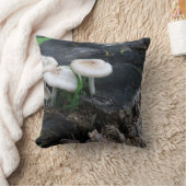 真夏菌 クッション (ブランケット)