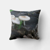 真夏菌 クッション (裏面)