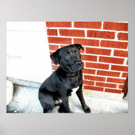 真夜中にカメラポーズをとる ポスター