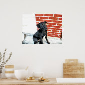 真夜中にカメラポーズをとる ポスター (キッチン)