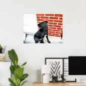 真夜中にカメラポーズをとる ポスター (ホームオフィス)