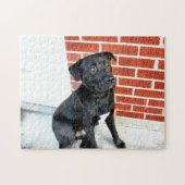 真夜中にポーズをとる ジグソーパズル (横)