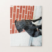 真夜中にポーズをとる ジグソーパズル (縦)