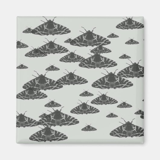 真夜中に潜む夜の蛾 マグネット (正面)