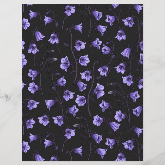 真夜中のブルーベル、ハレボルズ、ベルフラワーズ (正面)