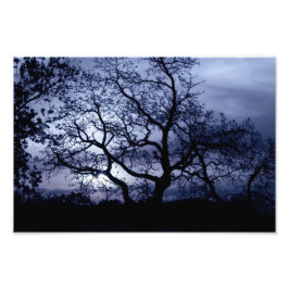 真夜中の夕日 フォトプリント           