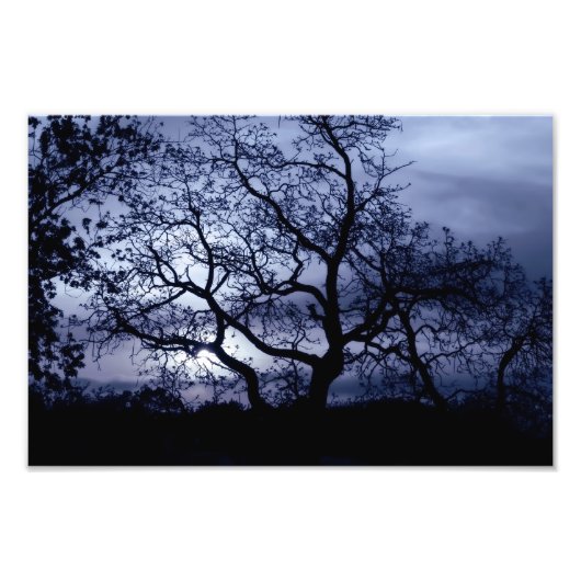 真夜中の夕日 フォトプリント            (正面)