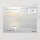 真夜中の太陽と北極熊，北極海 ポストカード (裏面)