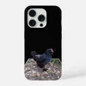 "真夜中の羽根: ポップアウトアートの黒いニワトリ" iPhoneケース (裏面)