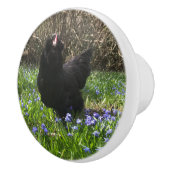 真夜中の花ノブがチキンを右に引く セラミックノブ (右)