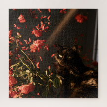 真夜中の花咲く猫
