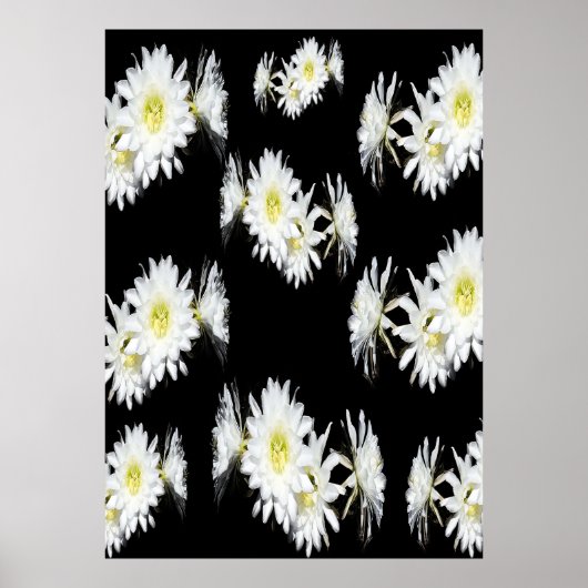 真夜中の花：白いサボテンの花（黒） ポスター (正面)