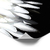 真夜中の花：白いサボテンの花（黒） ポスター (角)