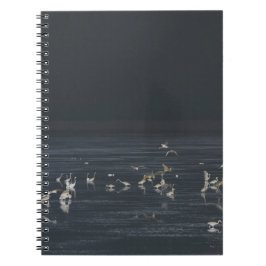 真夜中の青い海のサギ ノートブック