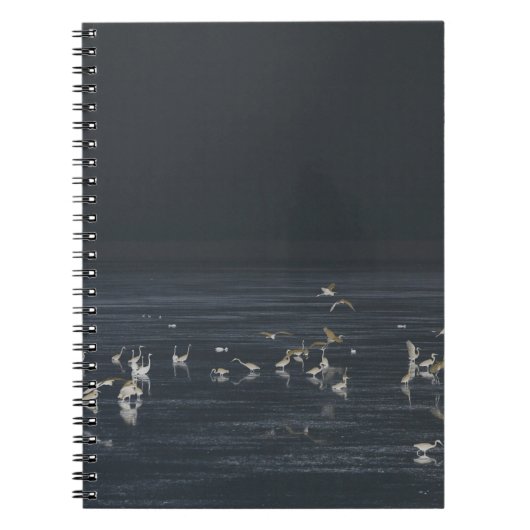 真夜中の青い海のサギ ノートブック (正面)